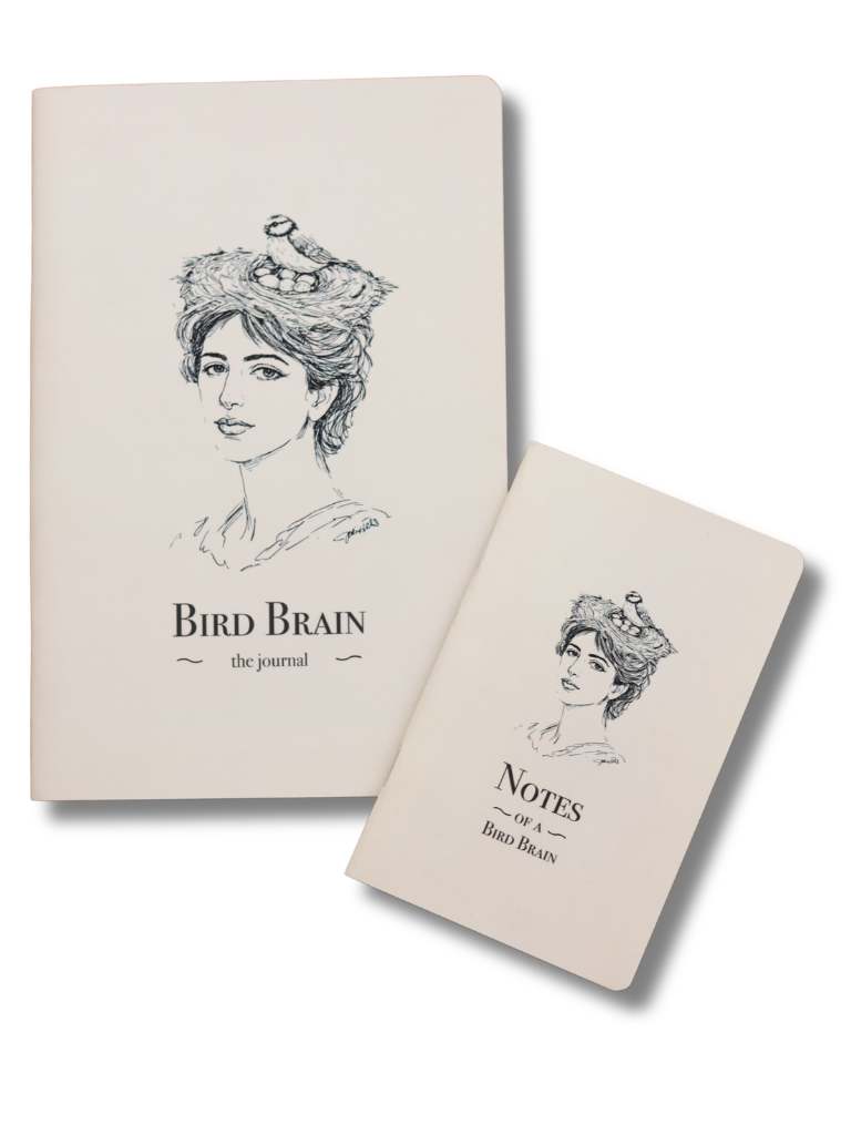 Bird Brain. Notebooks.