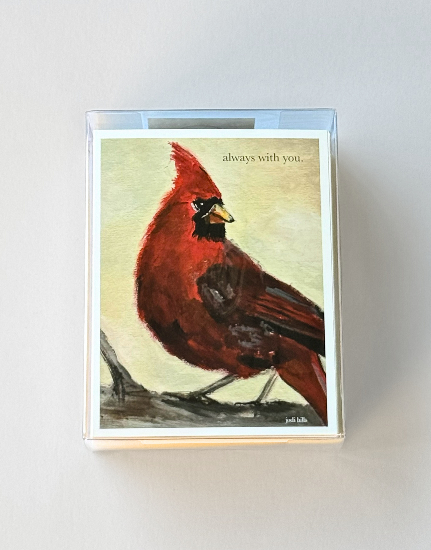 birds greeting card boxed set