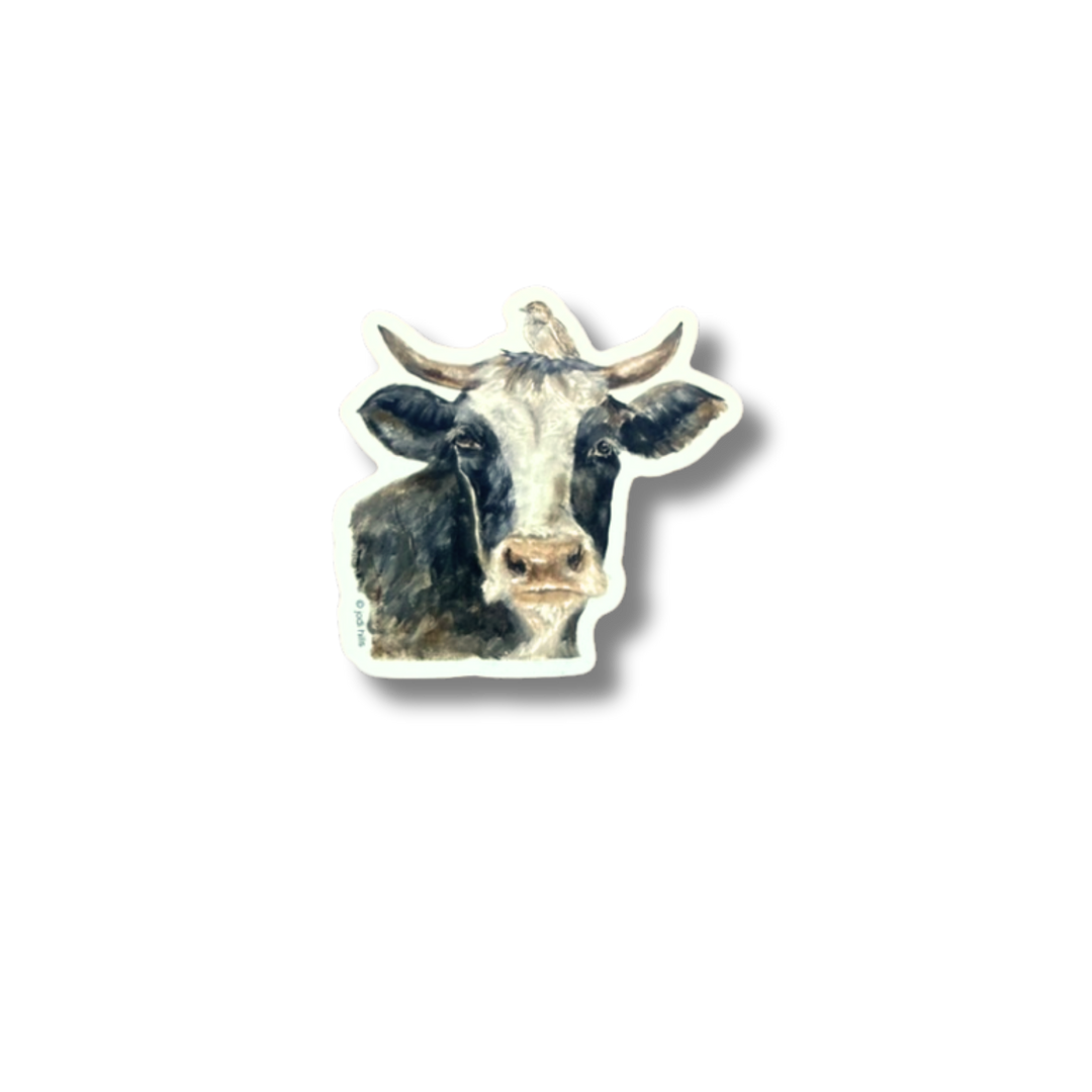 cow bird