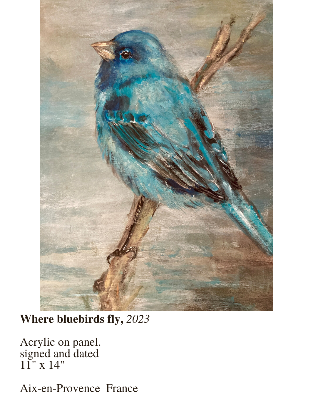 Where bluebirds fly