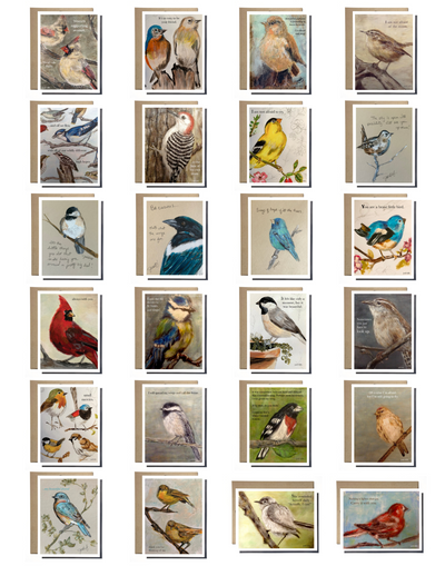 birds greeting card boxed set