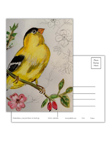 look up postcard collection