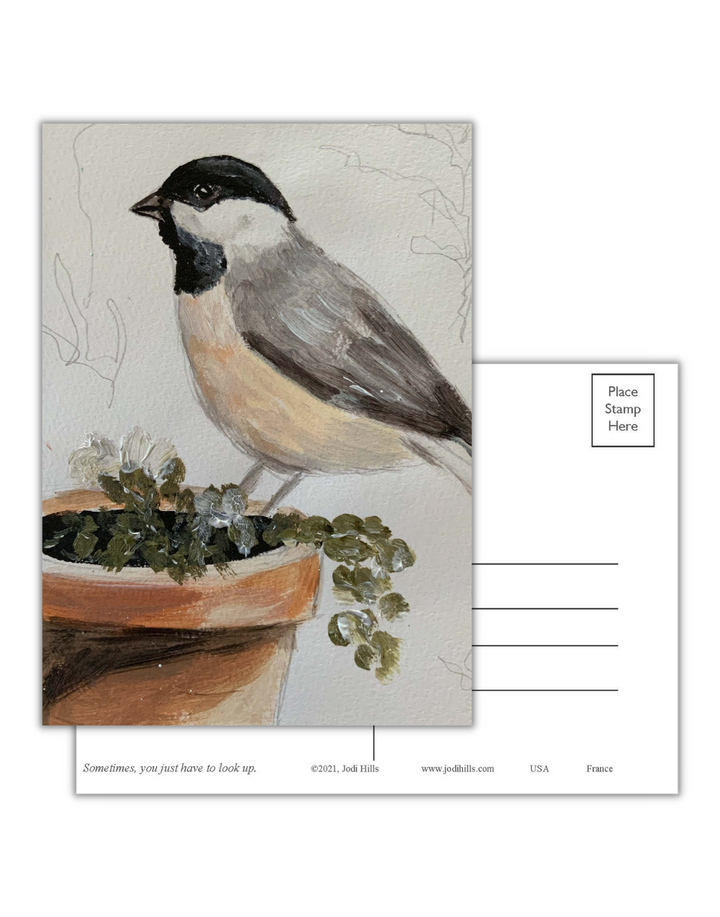 look up postcard collection
