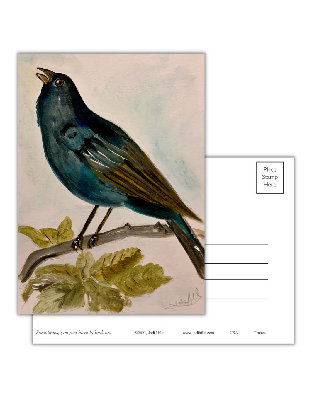 look up postcard collection