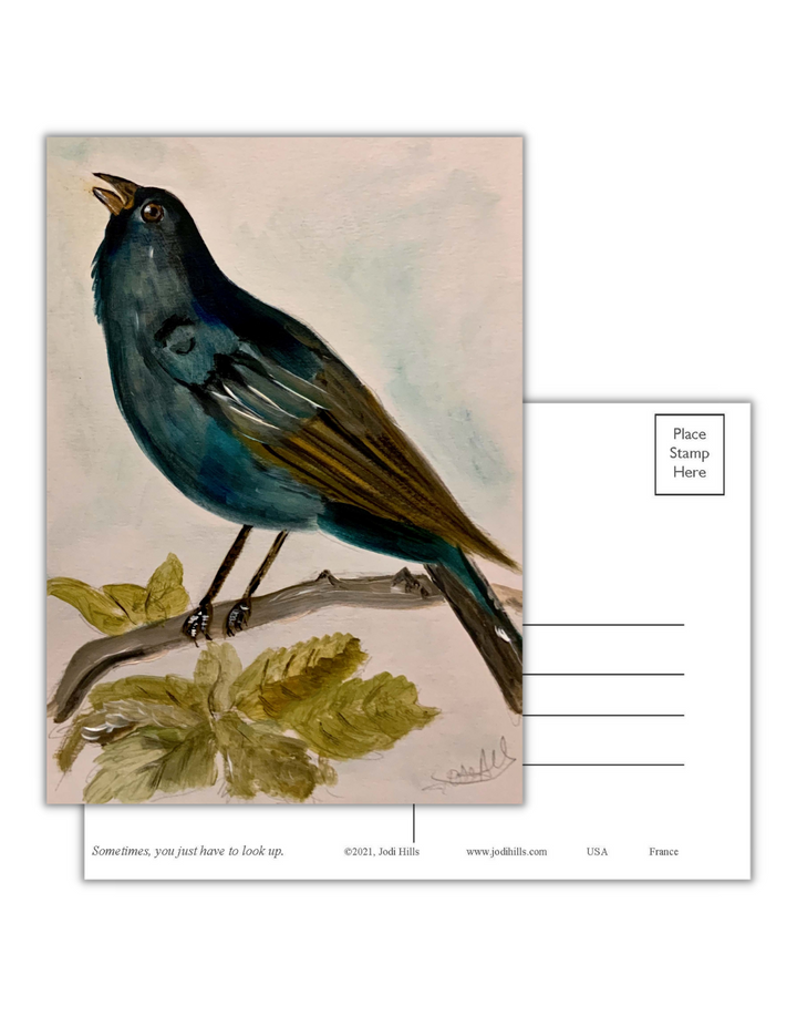 look up postcard collection