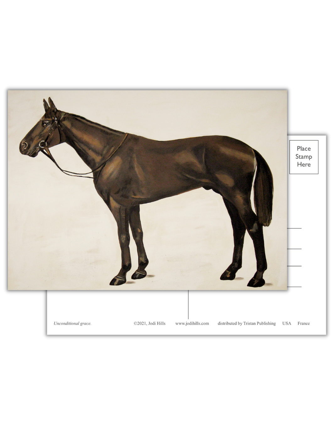 americana postcard collection