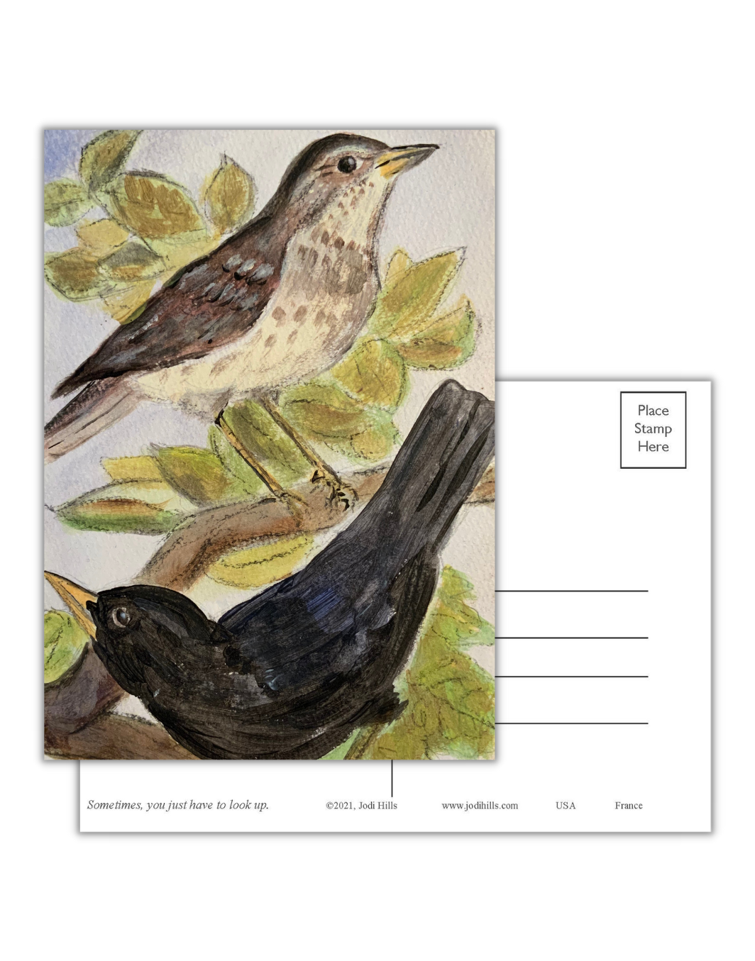 look up postcard collection