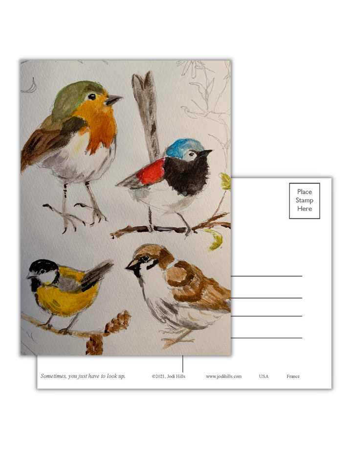 look up postcard collection